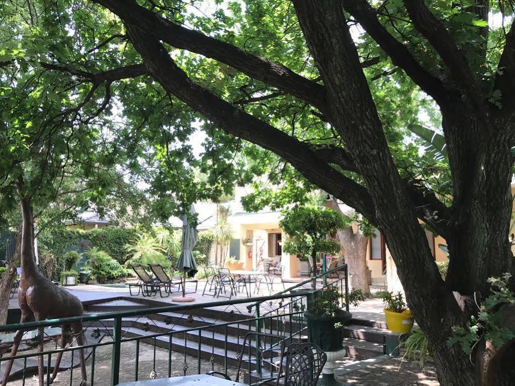 Elizabeth Manor Guest House Йоханесбург Екстериор снимка